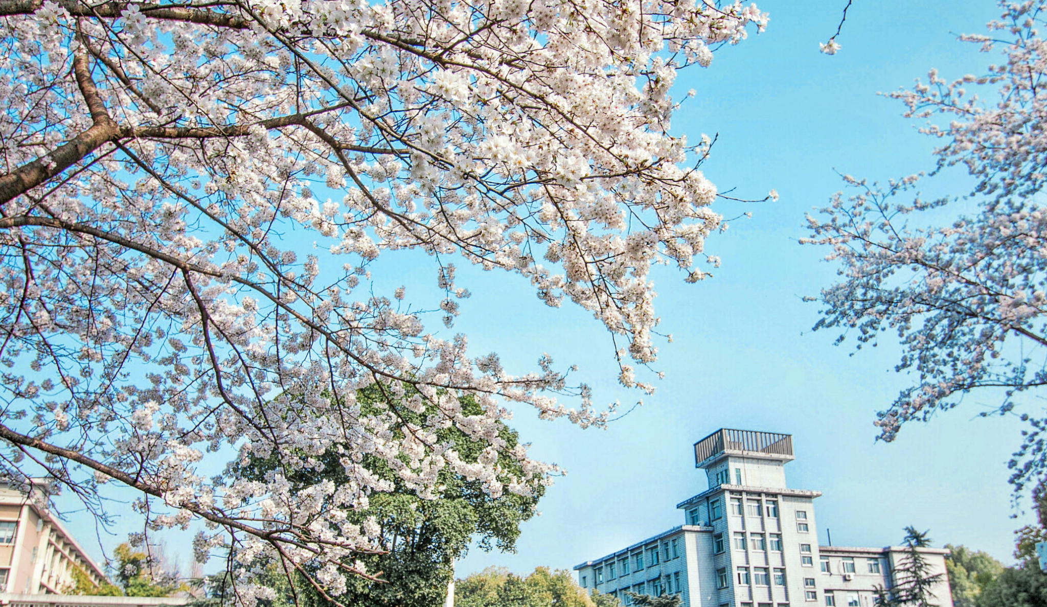 banner1